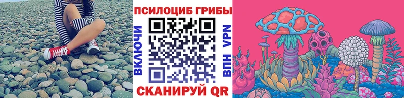 Псилоцибиновые грибы GOLDEN TEACHER  продажа наркотиков  Александровское 